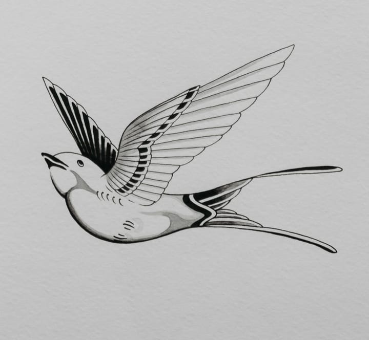 Example photo: Black ink swallow drawing on white paper